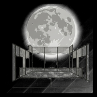 Luna Night